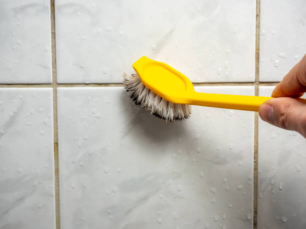Trusted Williamsburg, IA Mold Removal Experts