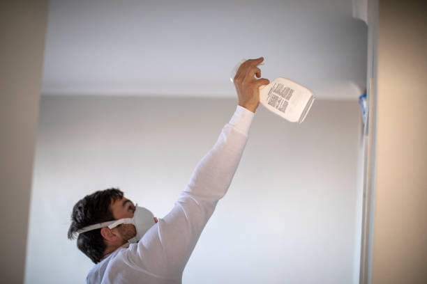 Best Attic Mold Removal  in Willmsburg, IA