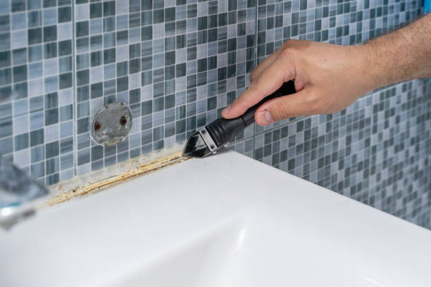 Best Certified Mold Removal  in Willmsburg, IA